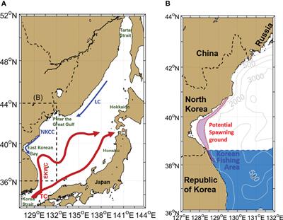 Potential Impact of Late 1980s Regime Shift on the Collapse of Walleye Pollock Catch in the Western East/Japan Sea